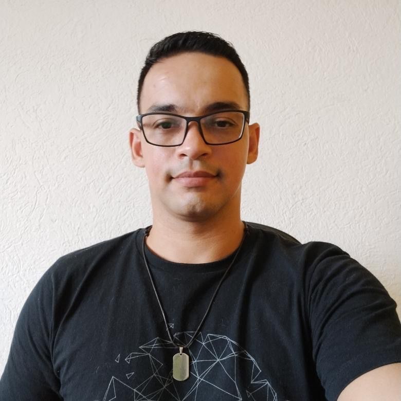 Vivência profissional dos egressos